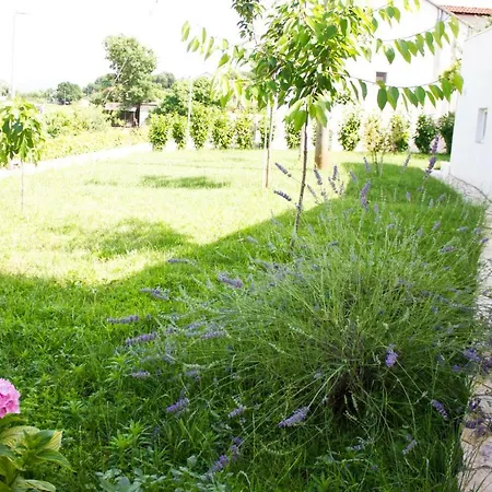 Fig Villa Zmijavci