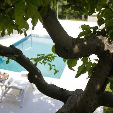 Fig Vila Zmijavci