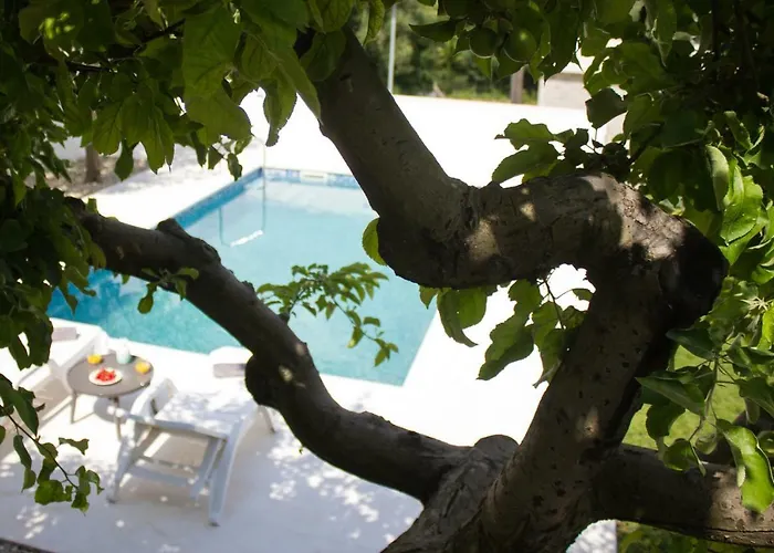 Fig Villa Zmijavci