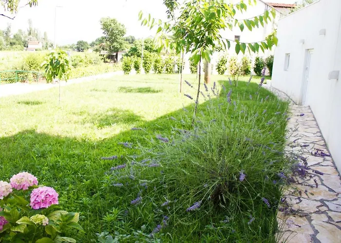 Fig Villa Zmijavci